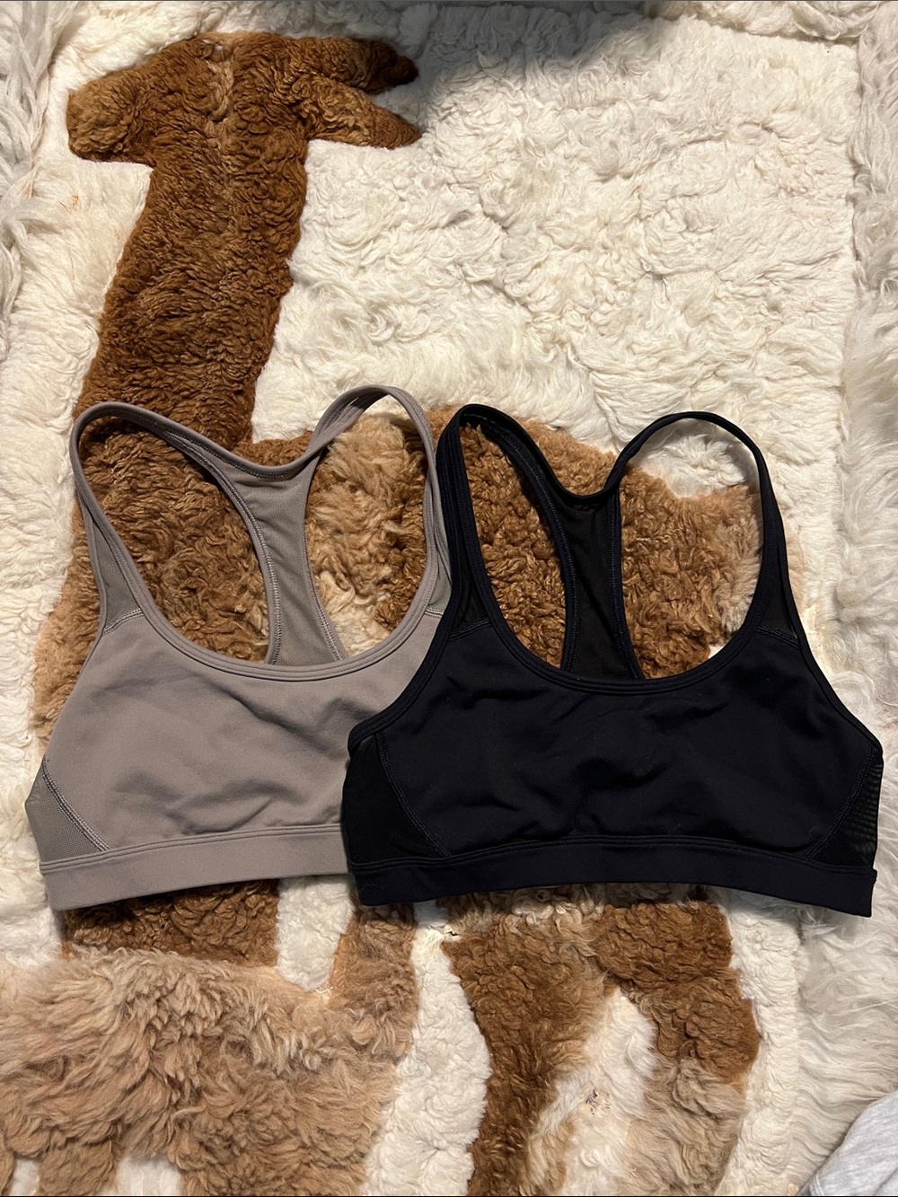 TNA Aritzia Sports Bras x 2